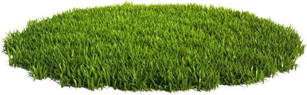 grass image used as graphic behind the contact form